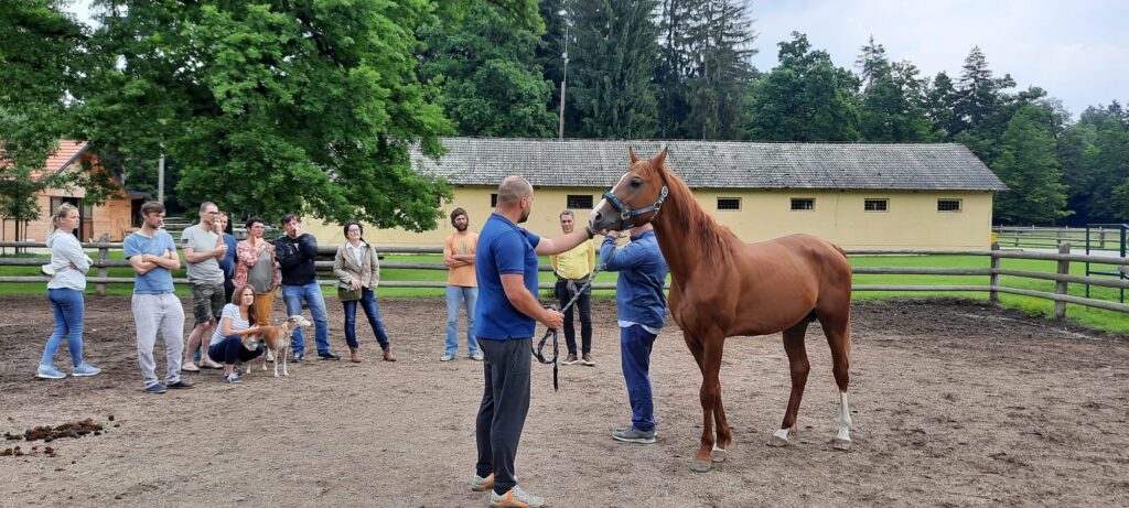 ZRLAKS seminar with Scott Benjamin and Nalla Arabians